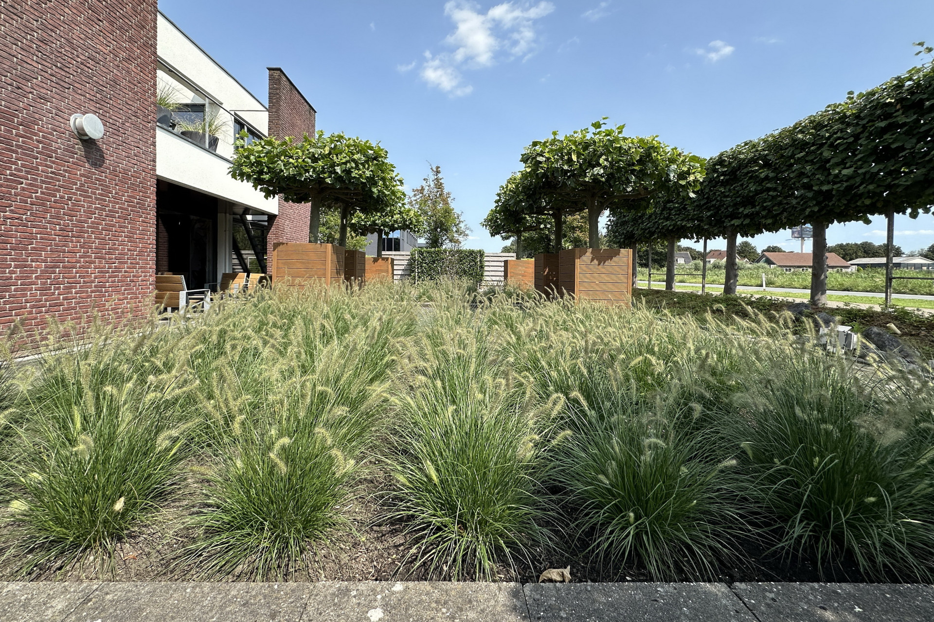 Coenecoop 146 148   Waddinxveen 56